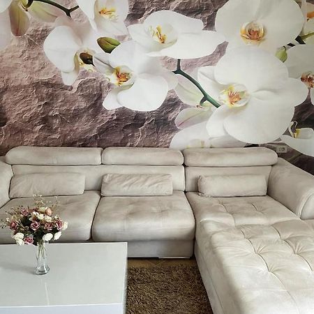 Sunkissed Centre Apartment วญอเรอ ภายนอก รูปภาพ