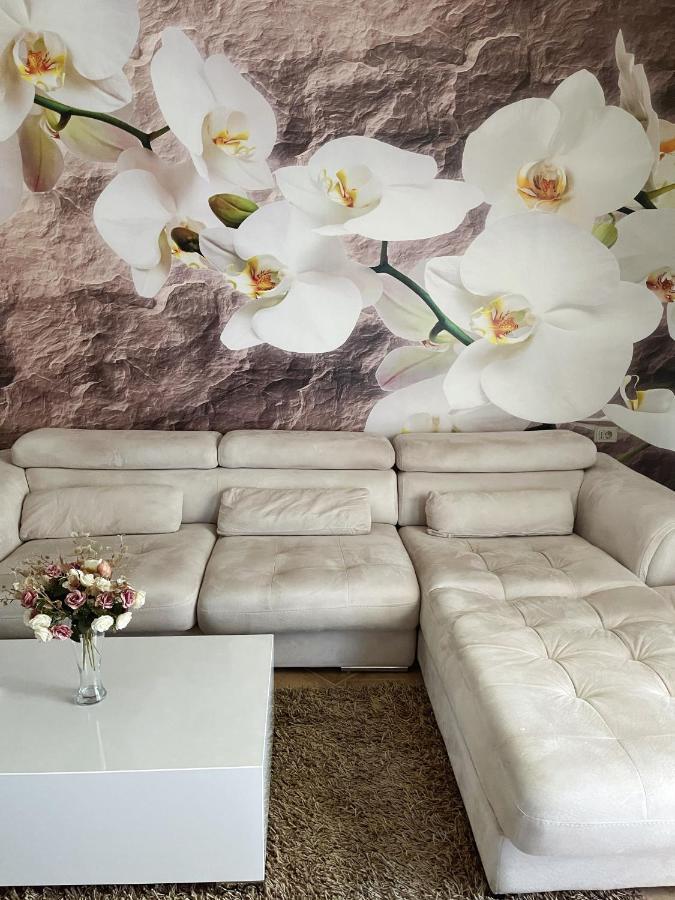 Sunkissed Centre Apartment วญอเรอ ภายนอก รูปภาพ