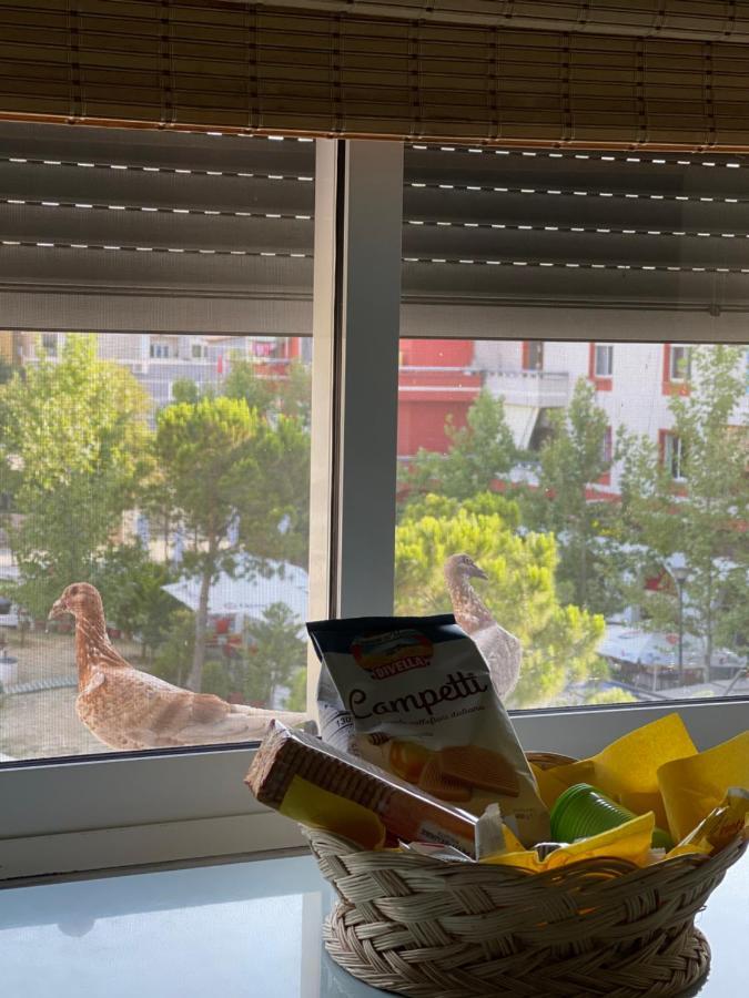 Sunkissed Centre Apartment วญอเรอ ภายนอก รูปภาพ